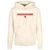 Basic hoodie Thumbnail