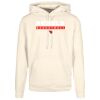 Basic hoodie Thumbnail