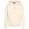 Basic hoodie Thumbnail