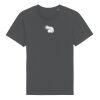 Rocker the essential unisex t-shirt (STTU758) Thumbnail